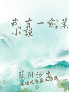 我有一剑叶观 小说