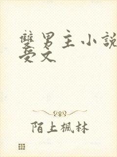 双男主小说现代受文