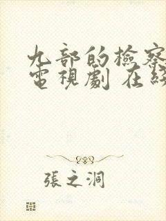 九部的检察官 电视剧 在线观看