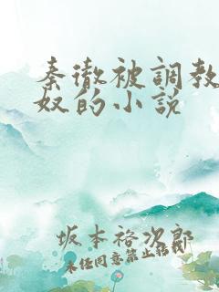 秦彻被调教成肉奴的小说