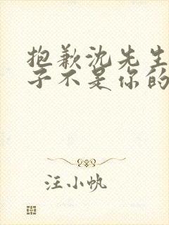 抱歉沈先生,孩子不是你的全集短剧