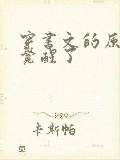 穿书文的原女主觉醒了