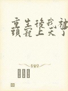 重生后我被死对头宠上天了