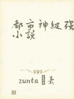 都市神级强者 小说