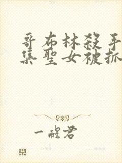 哥布林杀手第几集圣女被抓