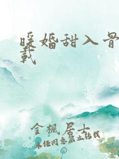 暖婚甜入骨 下载