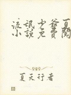 流氓少爷夏丰银小说免费阅读