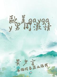 欧美gaygay男同激情
