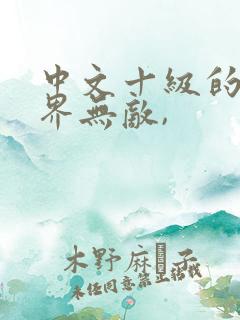 中文十级的我异界无敌,