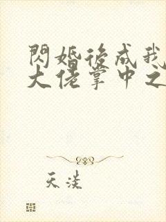 闪婚后成我成了大佬掌中之物