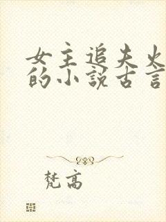 女主追夫火葬场的小说古言