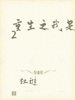重生之我是王妈2