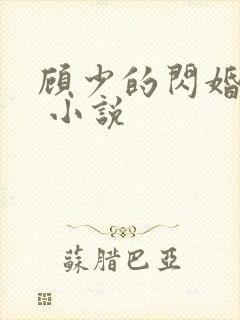 顾少的闪婚宠妻 小说
