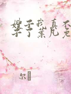 嫂子我真不是傻子了叶凡免费全本大结局