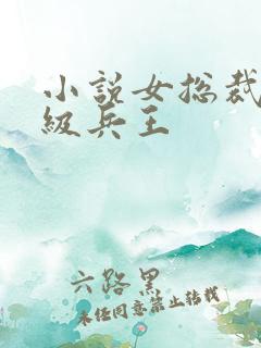 小说女总裁的超级兵王