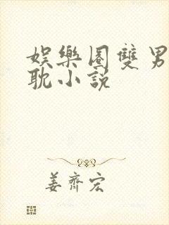 娱乐圈双男主原耽小说