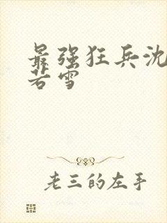 最强狂兵沈浪苏若雪