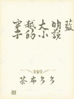 穿越大明蓝玉之子的小说