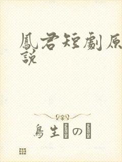 凤君短剧原著小说