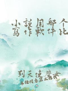 小说用哪个ai写作软件比较好