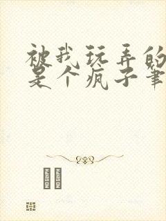 被我玩弄的家伙是个疯子笔趣阁