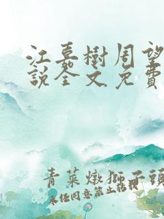 江嘉树周望舒小说全文免费阅读最新章节