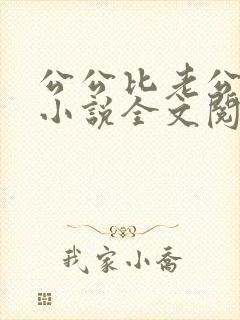 公公比老公厉害小说全文阅读