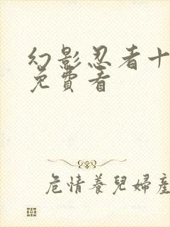 幻影忍者十七季免费看