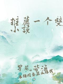 推荐一个双男主小说