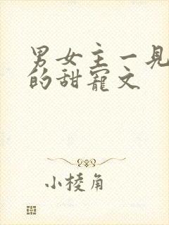 男女主一见钟情的甜宠文