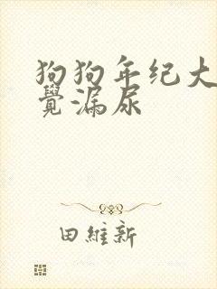 狗狗年纪大了睡觉漏尿