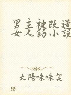 男主被改造成了女人的小说