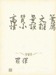 高质量文笔好言情小说推荐