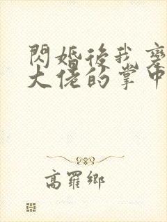 闪婚后我变成了大佬的掌中之物