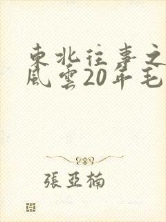 东北往事之黑道风云20年毛琴片段