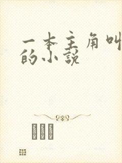 一本主角叫林凡的小说