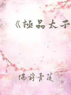 《极品太子爷》