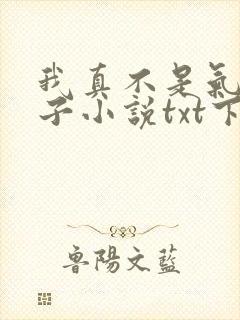 我真不是气运之子小说txt下载