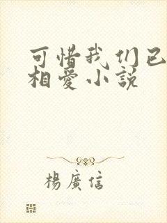 可惜我们已不再相爱小说