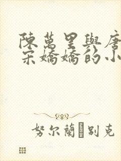 陈万里与唐嫣然宋娇娇的小说叫什么