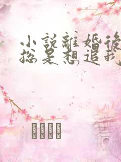 小说离婚后前夫总是想追我免费阅读