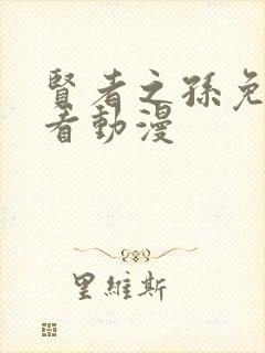 贤者之孙免费观看动漫