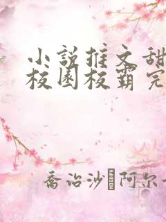 小说推文甜宠文校园校霸完结文