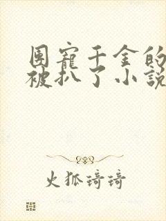 团宠千金的马甲被扒了小说在线阅读