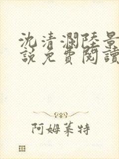 沈清澜陆景沉小说免费阅读最新章节更新