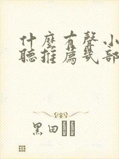 什么有声小说好听推荐几部