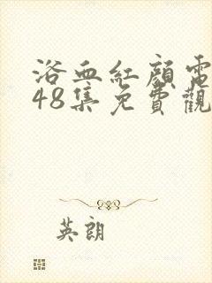 浴血红颜电视剧48集免费观看