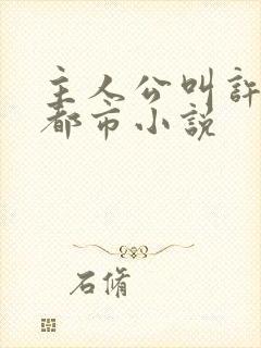 主人公叫许阳的都市小说