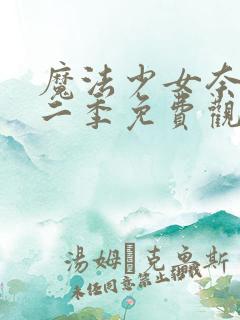 魔法少女奈叶第二季免费观看全集