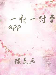 一对一付费聊天app